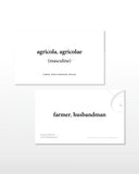 Latin Nouns and Pronouns Flashcards